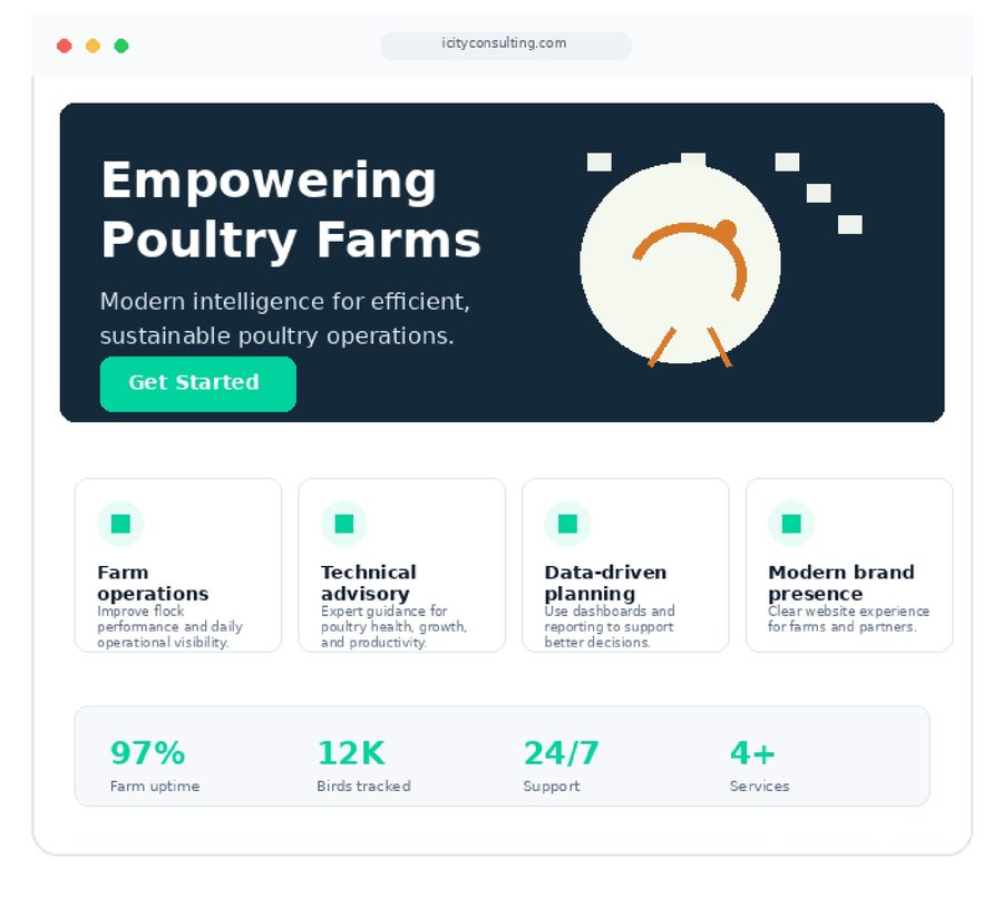 iCity Consulting website